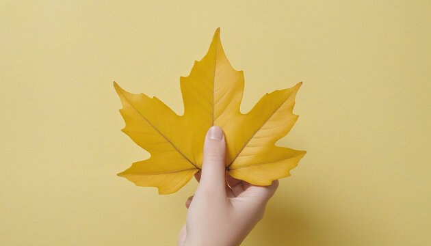 Hand with yellow autumn leaf on yellow background colorful background