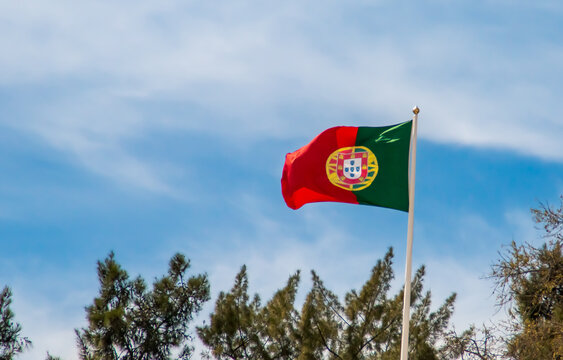 Bandera de Portugal ondeando al viento. Bandera de Portugal sobre la copa de unos pinos con el cielo azul con nubes difuminadas al fondo.