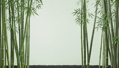 Fototapeta na wymiar towering bamboo stalks in a peaceful zen garden isolated on a transparent background for design layouts colorful background