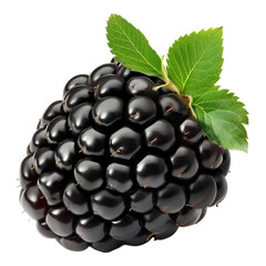 A blackberry with a green leaf on top. The blackberry is ripe and ready to eat