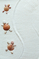 Sandy beach texture. Turtles made from shells and pebbles.