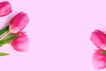 Pink tulip flowers bouquet on pink background. Flat lay, top view.