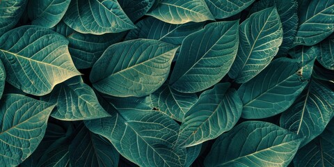 Dense Leafy Texture in Nature