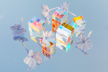Beautiful flowers and glass geometric prism cubes with light diffraction of rainbow spectrum colors on blue sky mirror reflection background. Sun, trendy sunlight and shadows. Overhead view, flat lay.