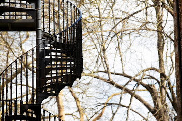 Spiral staircase cross section, against tree branches and sky 