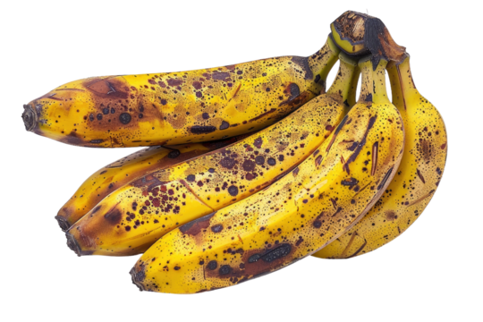Bananas With Brown Spots. On a Clear PNG or White Background.