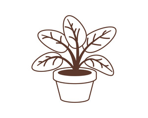 Plant in pot vector icon for home decoration. Houseplant black and white line illustration.
