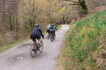 Cycling through the forest trails.