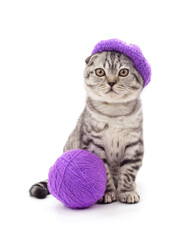 A cat with a ball in a hat. - 766972470