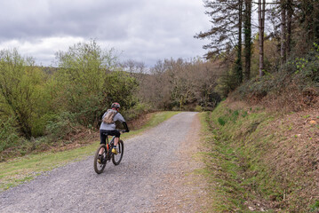 Mountain biking through the forest paths