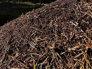 close up of straw