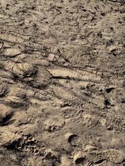 soil texture