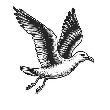 recommend clip art: seagull bird graceful flight detailed wing feathers sketch engraving generative ai fictional character raster illustration. Scratch board imitation. Black and white image. T-shirt apparel design
