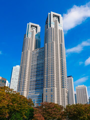 秋晴れの青空にそびえる東京都庁舎（東京都新宿区）