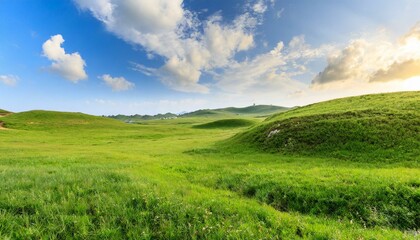 Obraz premium green field and blue sky