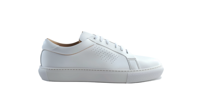 A trendy pair of men's sneakers, adding a touch of sporty sophistication to any look, their dynamic design and comfortable fit showcased against a seamless white background