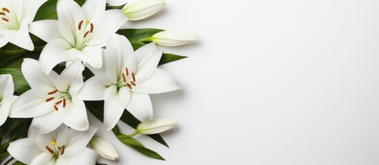 Blank funeral frame and lily flowers on white background - obrazy, fototapety, plakaty
