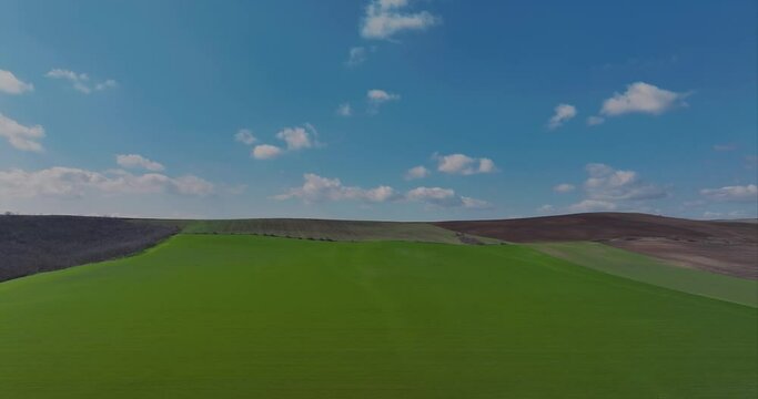 Aerial tracking shot vibrant green agricultural fields blue sky at the horizon, in the countryside on a spring sunny day