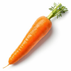 carrot isolated on clear white background 