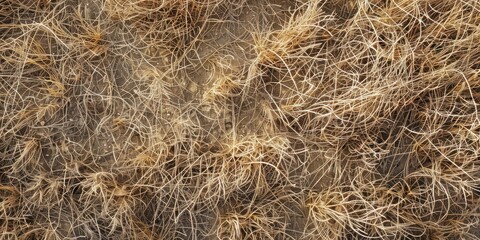 Organic Texture of Natural Fibers