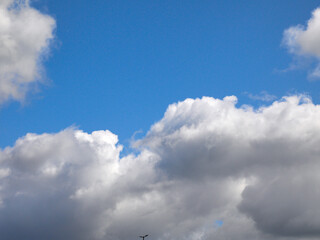 White cumulus clouds background, summer clouds