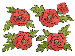 Poppy flower graphic color isolated sketch illustration vector 