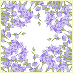 Decorative frame of lavender flowers for your design. Vector illustration isolated on white background.