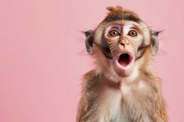 Foto auf Alu-Dibond Cute, surprised monkey with large, captivating eyes on pink background. Ideal for promotions, great deals or offers. Good price, Black Friday, discount. Copy space for text. © Kassiopeia 