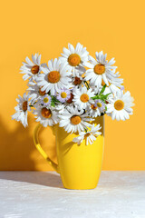 Bouquet of white daisies chamomile in a vase on a yellow background