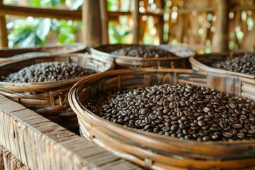 Traditional Coffee Bean Drying Method in Woven Baskets at Rural Farm Plantation, Fresh Aromatic...