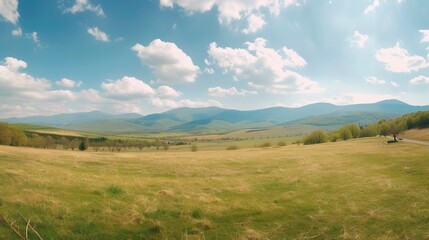 Fototapeta na wymiar Panorama of beautiful countryside. sunny afternoon. wonderful springtime landscape