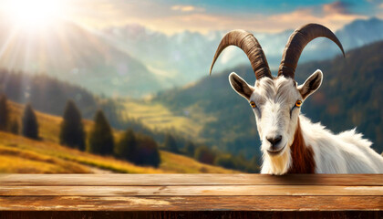 Close-up of an empty wooden table and a white and brown horned mountain goat, looking at the camera, on a mountain landscape with sunbeams. Template for dairy products. Generative Ai. - obrazy, fototapety, plakaty