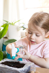 Adorable little child girl watering the plant in the pots at home, concept of plant growing learning activity for preschool kid
