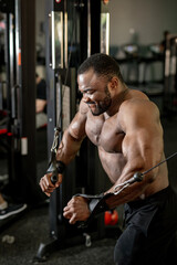 Fototapeta na wymiar Muscular man trains his arms in the gym.