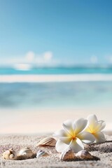 Fototapeta premium Summer beach background materials