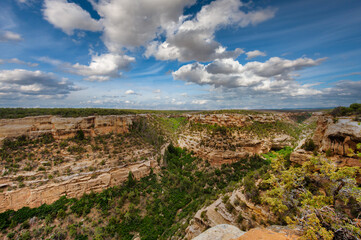 Fototapeta na wymiar This majestic view showcases a vast canyon with layered rock formations, diverse vegetation, and dramatic cloudscape above