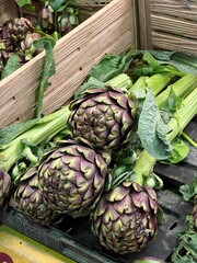 Fresh artichokes in a box.