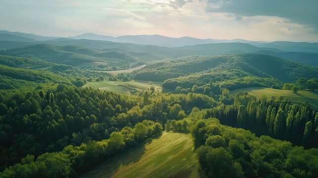 Summer Day Landscape from High Above a Forest - Environmental Sustainability - Aerial Shot with Woodland and Mountain View 
