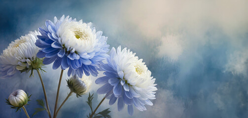 Niebieskie kwiaty astry. Pastelowe tło kwiatowe, puste miejsce - obrazy, fototapety, plakaty