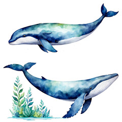 2 Whales watercolor painting, cute blue whale, marine animal, vector illustration, clipart, animal, clipart, whale jumping, water splash, adorable, aquarium, cutout on white background