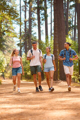 Fototapeta premium Young Active Couple With Friends Wearing Backpacks Hiking Along Trail Through Countryside