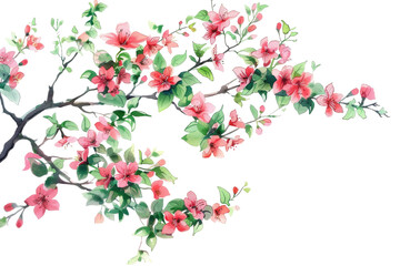 Pink Flowers on White Background. On a Clear PNG or White Background.