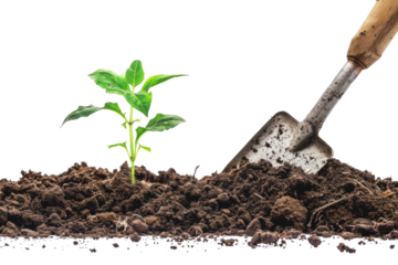 Shovel Digging Dirt With a Plant. On a Clear PNG or White Background.