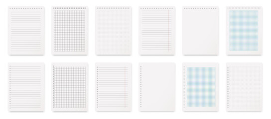 Planner or notebook pages with lines and chequered grid for writing. Vector isolated realistic diary with spiral binder holes on top and sides. Mockup of empty blank sheets of sketchbooks
