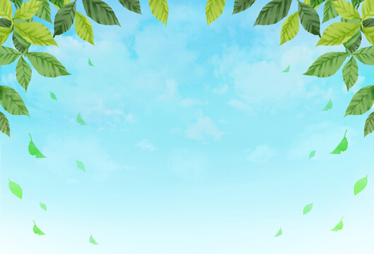 葉と青空のフレーム背景　水彩画　素材　枠　新緑　葉っぱ　落ち葉　景色　シンプル　イメージ　さわやか　初夏　夏　メッセージカード　ポスター
