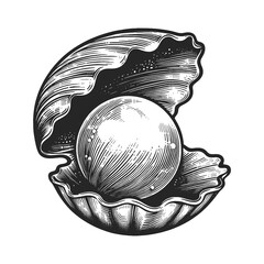  pearl nestled in an open oyster shell, representing luxury and natural beauty, line art sketch engraving generative ai raster illustration. Scratch board imitation. Black and white image. - obrazy, fototapety, plakaty