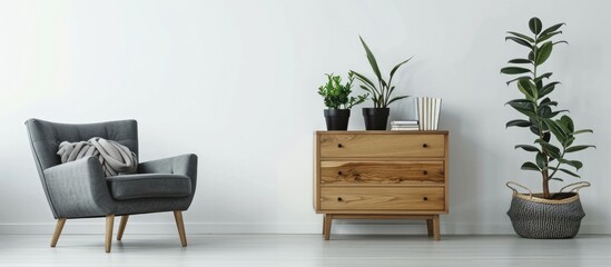 Contemporary Scandinavian home decor featuring a stylish wooden dresser, black potted plants, a gray sofa, books, and personal items against white walls. Includes a template with copy space.