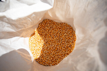selective focus many yellow corn kernels in a sack Dried corn seeds in the field Beautiful grown...