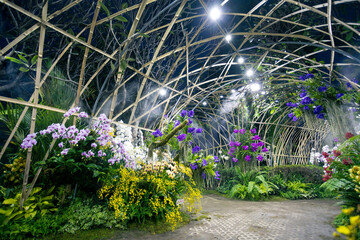 landscape white and colorful orchid garden A lush orchid tunnel in a park in Chiang Mai There are beautiful displays of flowers and orchids natural at night feeling.