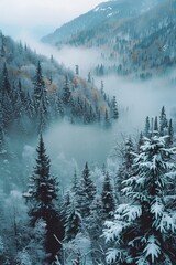 a snowy forest with trees and fog